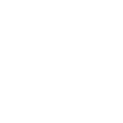 Aplix